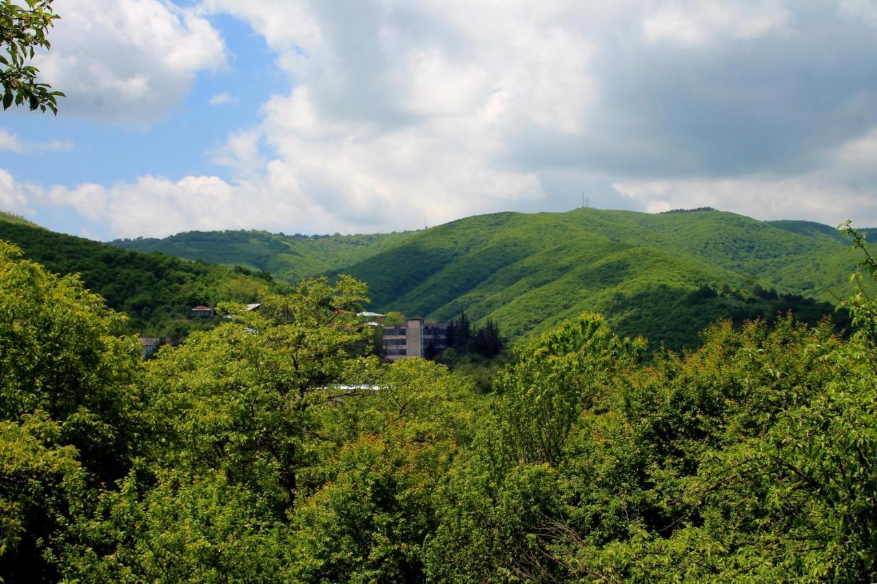 Lilia Guesthouse Sighnaghi Esterno foto